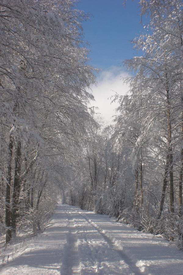 Naturpension Muehlhof Neukirchen am Großvenediger Buitenkant foto